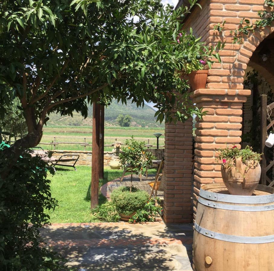 B&B La Nonnina Del Cilento Casal Velino Exterior photo